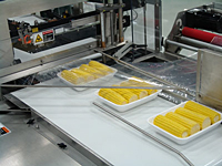 Automatic Shrink Packaging L-Sealers (A-27A) - 2