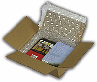 Inflatable Cushioning Protective Packaging (NewAir I.B. 200) - 2
