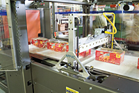 Shrink Packaging Snack Food