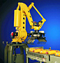 Robotic Palletizer